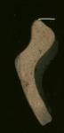 L_V17q1110 A7q0113 O902 mN -FC f66 sec.jpg L_V17q1110 A7q0113 O902 mN -FC f66 sec